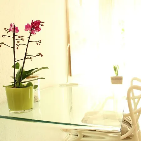 Apartment Parkside