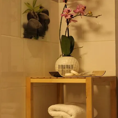 Parkside Apartment Dusseldorf